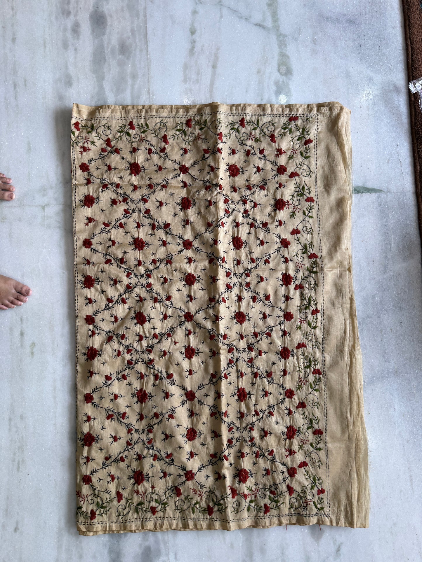 Kaya Kalpo Beige Kantha Stitch Saree with Floral Embroidery Work
